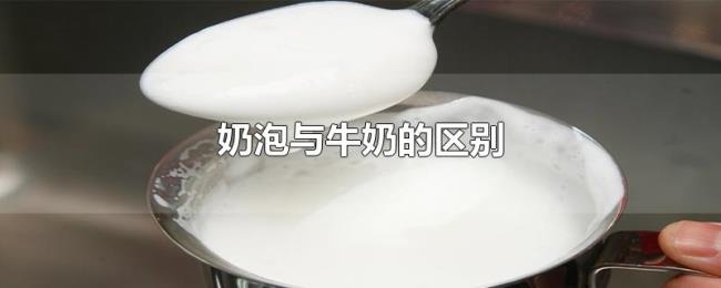 奶泡与牛奶的区别