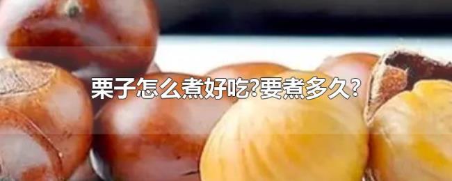 栗子怎么煮好吃?要煮多久? 栗子怎么煮好吃?要煮多久?