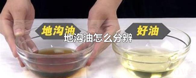 地沟油怎么分辨 地沟油怎么分辨