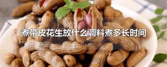 煮带皮花生放什么调料煮多长时间 煮带皮花生放什么调料煮多长时间