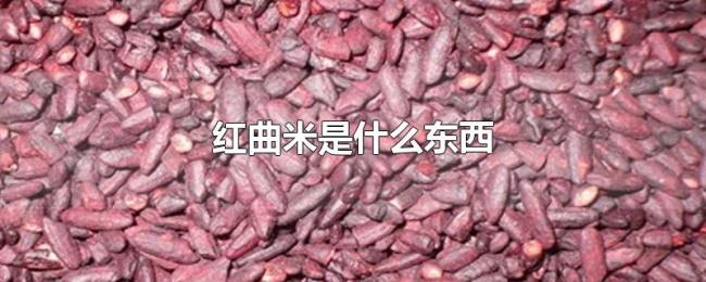 红曲米是什么东西