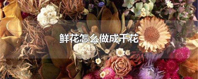鲜花怎么做成干花