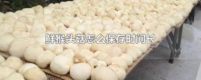 鲜猴头菇怎么保存时间长