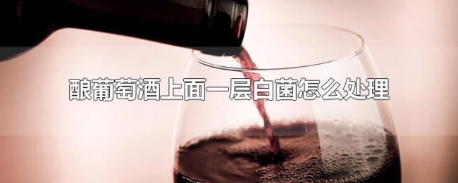 酿葡萄酒上面一层白菌怎么处理