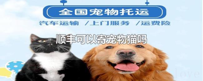 顺丰可以寄宠物猫吗 顺丰可以寄宠物猫吗