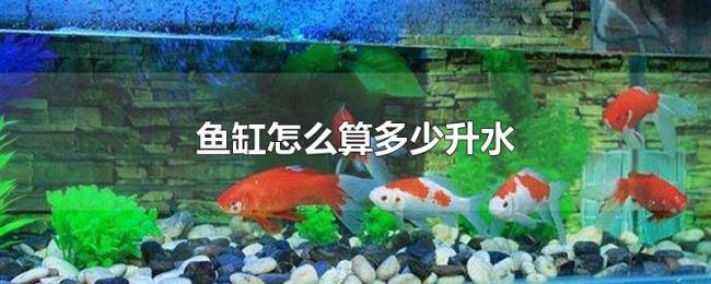 鱼缸怎么算多少升水