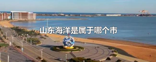 山东海洋是属于哪个市 山东海洋是属于哪个市