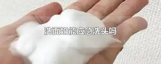 洗面奶能应急洗头吗 洗面奶能应急洗头吗