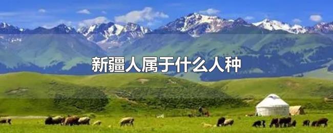 新疆人属于什么人种 新疆人属于什么人种
