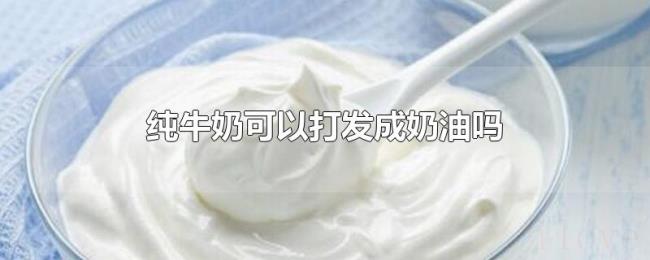 纯牛奶可以打发成奶油吗 纯牛奶可以打发成奶油吗