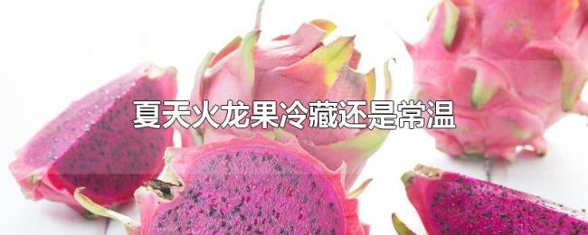 夏天火龙果冷藏还是常温