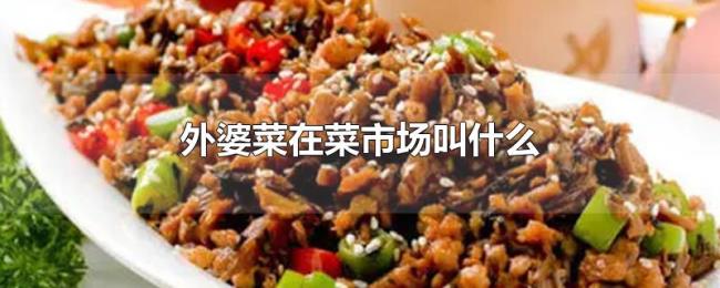 外婆菜在菜市场叫什么