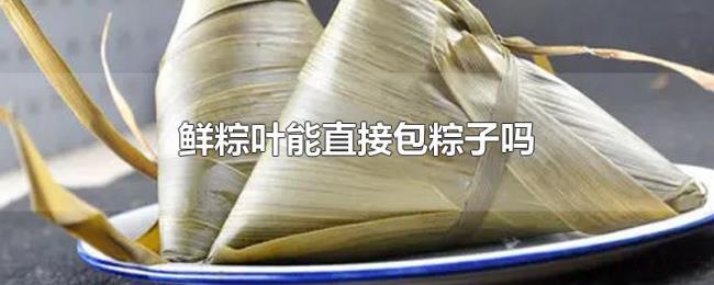 鲜粽叶能直接包粽子吗 鲜粽叶能直接包粽子吗