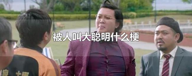 被人叫大聪明什么梗