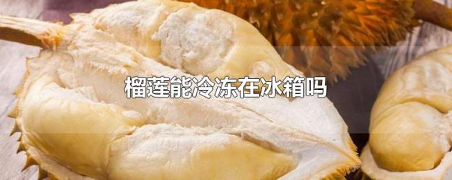 榴莲能冷冻在冰箱吗