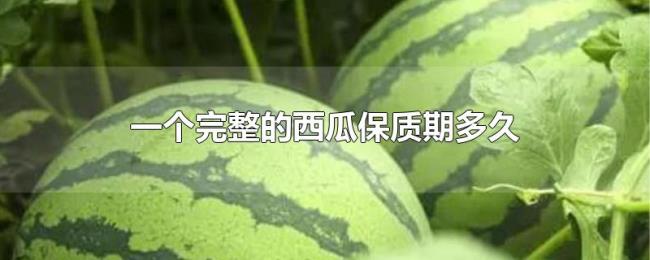 一个完整的西瓜保质期多久 一个完整的西瓜保质期多久