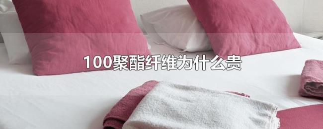 100聚酯纤维为什么贵 100聚酯纤维为什么贵