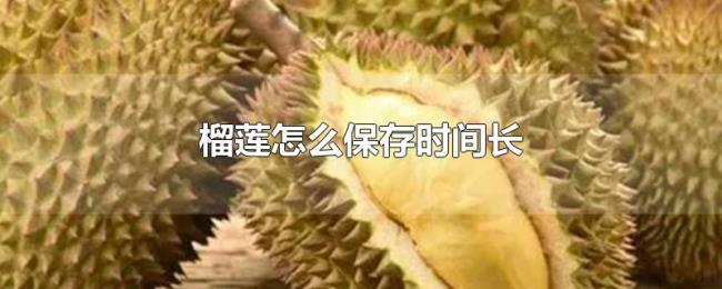 榴莲怎么保存时间长