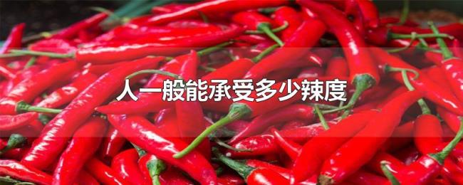 人一般能承受多少辣度 人一般能承受多少辣度