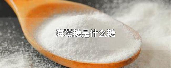 海藻糖是什么糖 海藻糖是什么糖