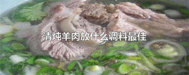 清炖羊肉放什么调料最佳 清炖羊肉放什么调料最佳
