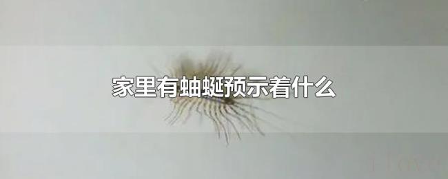 家里有蚰蜒预示着什么