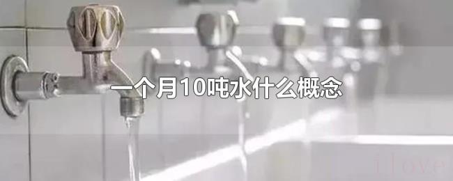 一个月10吨水什么概念 一个月10吨水什么概念