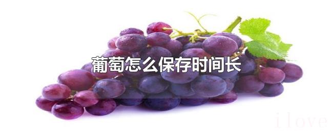 葡萄怎么保存时间长 葡萄怎么保存时间长