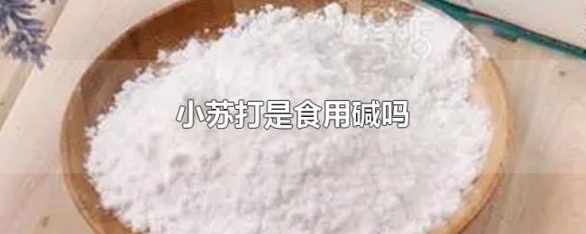 小苏打是食用碱吗 小苏打是食用碱吗