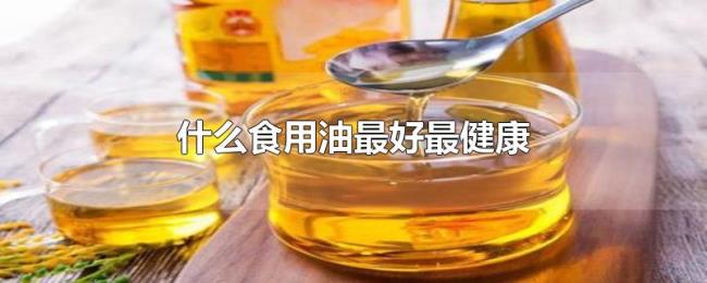 什么食用油最好最健康