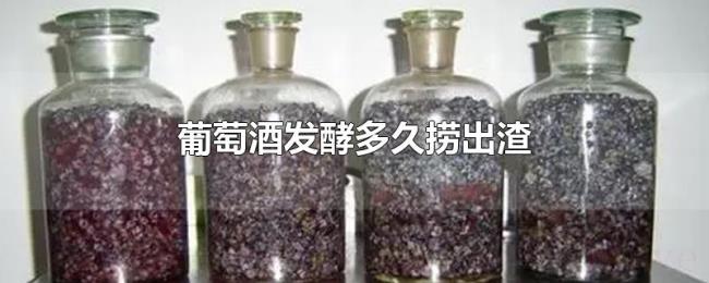 葡萄酒发酵多久捞出渣