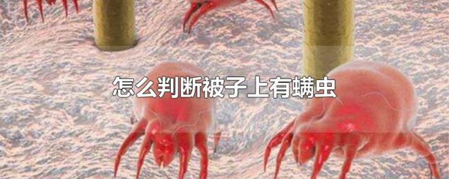 怎么判断被子上有螨虫 怎么判断被子上有螨虫