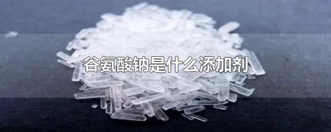谷氨酸钠是什么添加剂