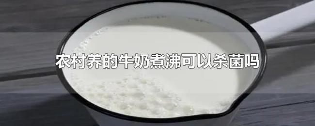 农村养的牛奶煮沸可以杀菌吗 农村养的牛奶煮沸可以杀菌吗