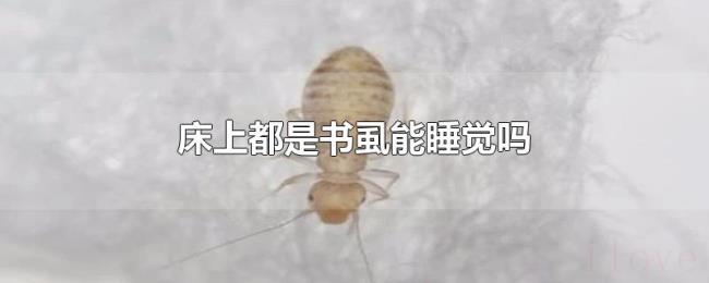 床上都是书虱能睡觉吗 床上都是书虱能睡觉吗