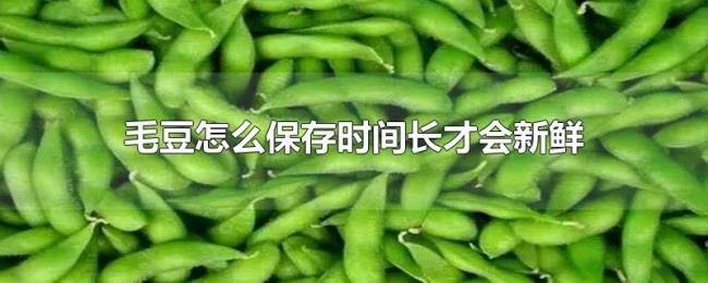 毛豆怎么保存时间长才会新鲜