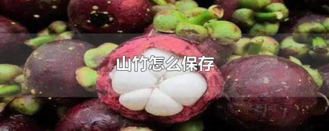 山竹怎么保存