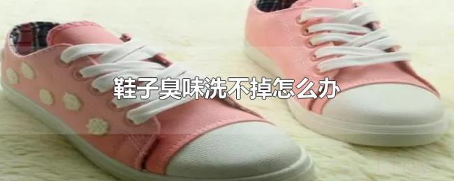 鞋子臭味洗不掉怎么办