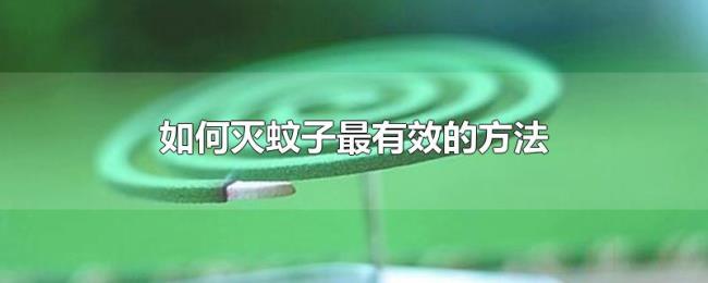 如何灭蚊子最有效的方法 如何灭蚊子最有效的方法