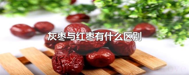 灰枣与红枣有什么区别 灰枣与红枣有什么区别