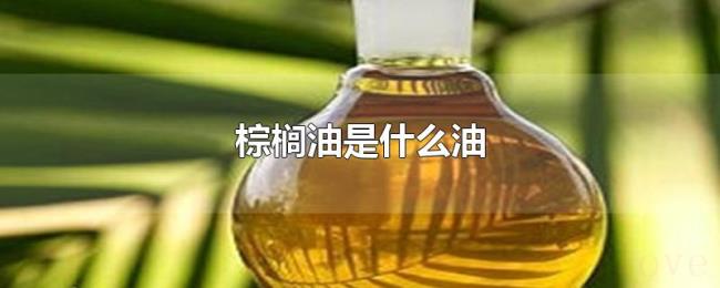 棕榈油是什么油 棕榈油是什么油