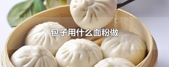 包子用什么面粉做 包子用什么面粉做
