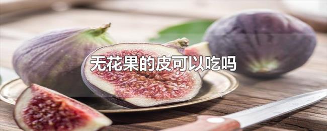 无花果的皮可以吃吗 无花果的皮可以吃吗