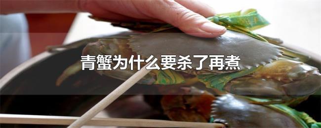 青蟹为什么要杀了再煮 青蟹为什么要杀了再煮