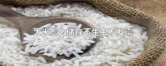 大米怎么储存不生虫不发霉
