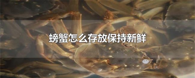 螃蟹怎么存放保持新鲜 螃蟹怎么存放保持新鲜