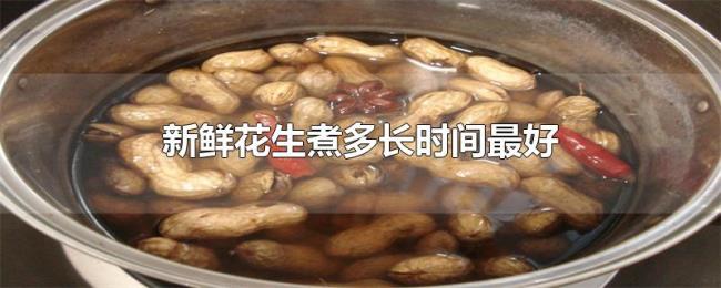 新鲜花生煮多长时间最好 新鲜花生煮多长时间最好