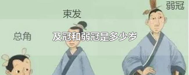 及冠和弱冠是多少岁 及冠和弱冠是多少岁