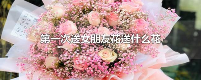 第一次送女朋友花送什么花