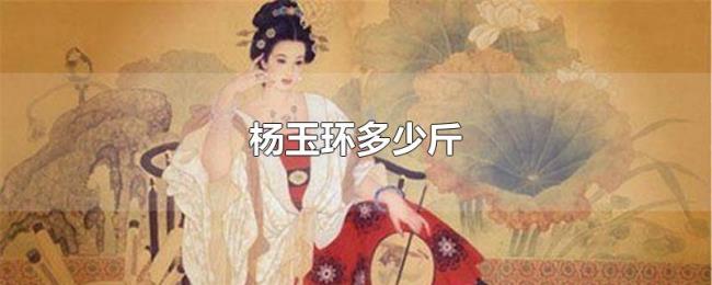 杨玉环多少斤